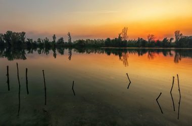 tisa reka prognoza tisa reka prognoza